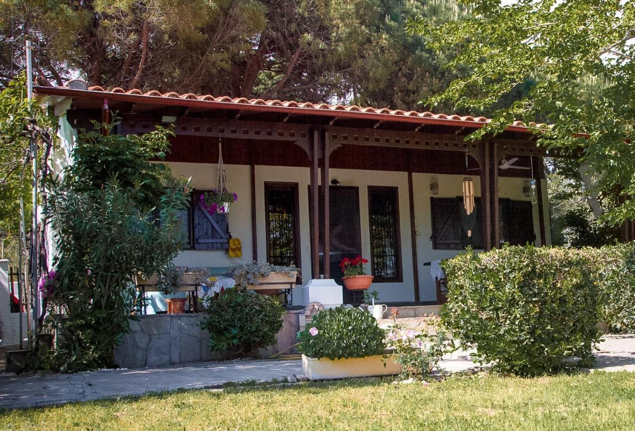 알렉산드로폴리스 Estate Irene 빌라 외부 사진